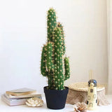 Artificial Cactus Plants for Home Decoration